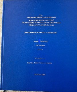 Necmettin Erbakan Üniversitesi tez çalışması