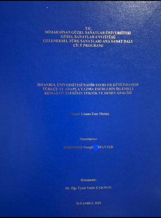 Cilt ana dalı yüksek lisans tezi