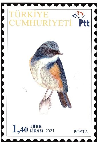 Kuş konulu pul tasarım çalışması